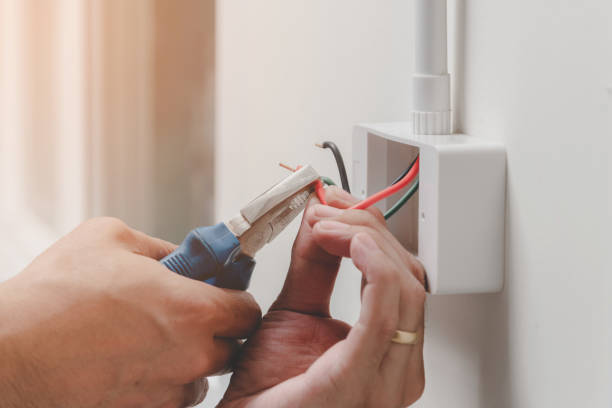 Best Electrical Safety Inspections  in Auburn, MI