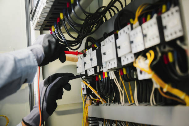 Best Electrical Panel Upgrades  in Auburn, MI